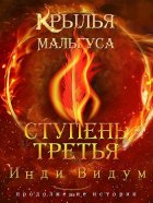 Ступень третья. Часть вторая
